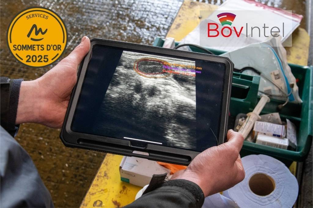 IMV Technologies Lauréat des Sommets d’Or 2025 dans la catégorie « Services pour l’Élevage » grâce à son outil BovIntel