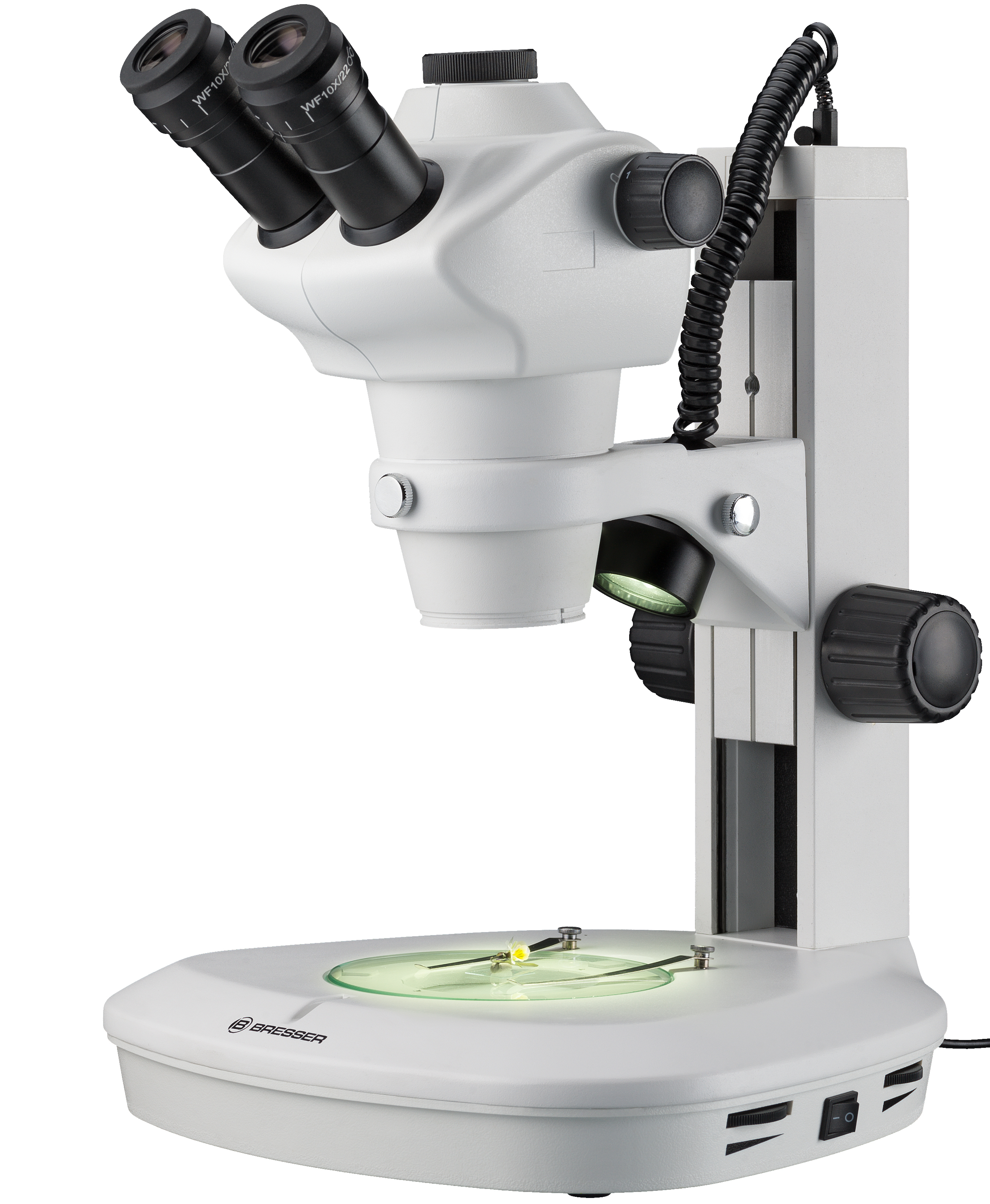 Loupe binoculaire (équin, bovin) - IMV Technologies France