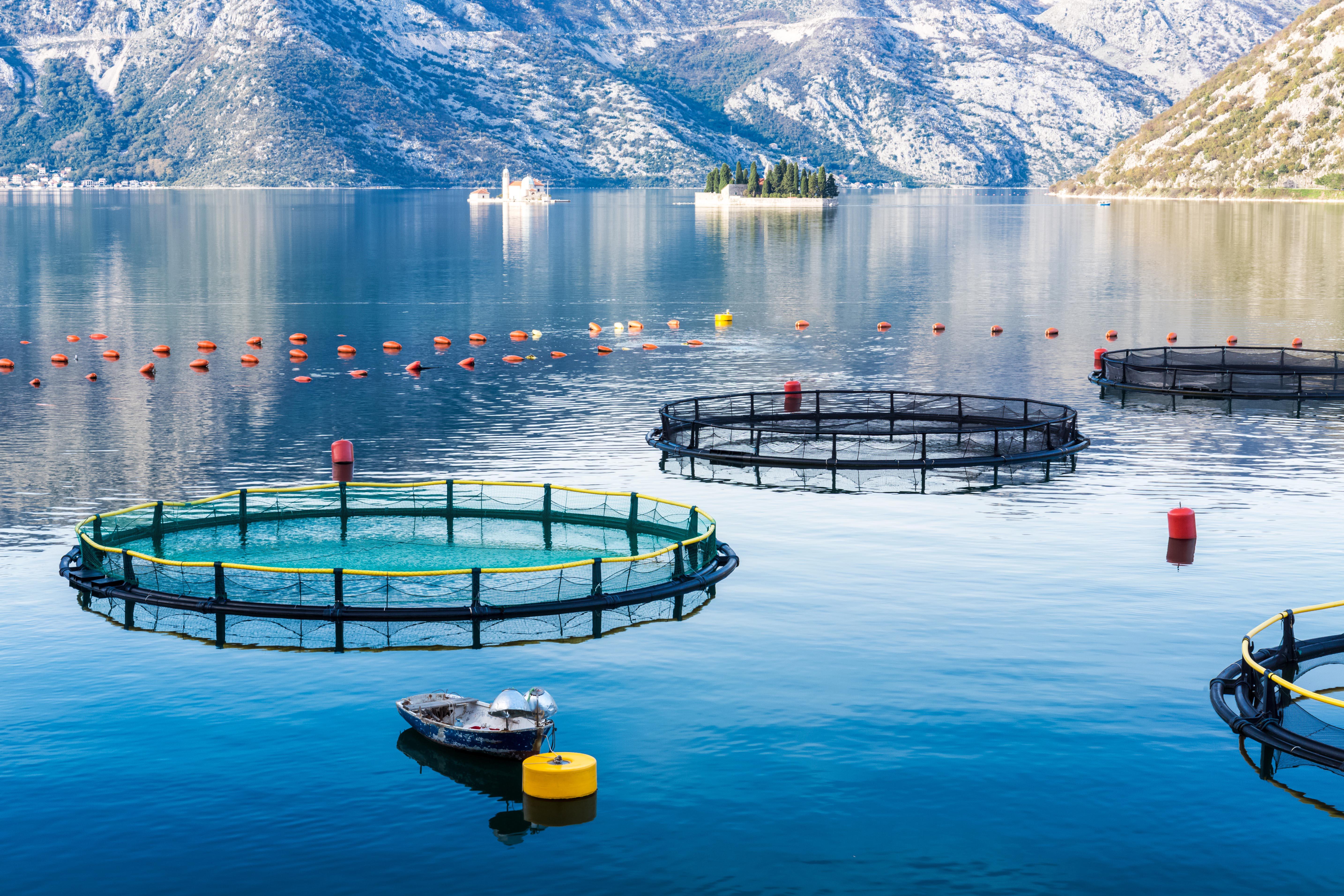 Aquaculture