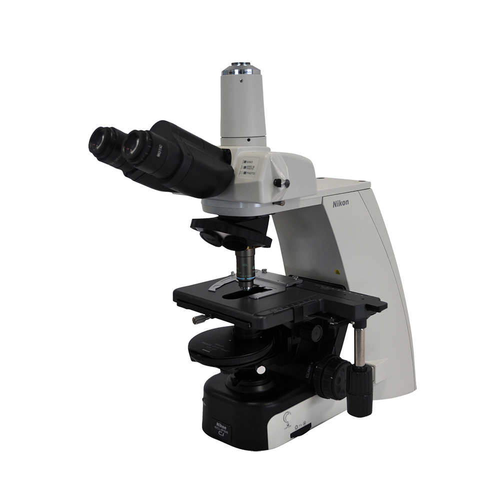 Loupe binoculaire (équin, bovin) - IMV Technologies France